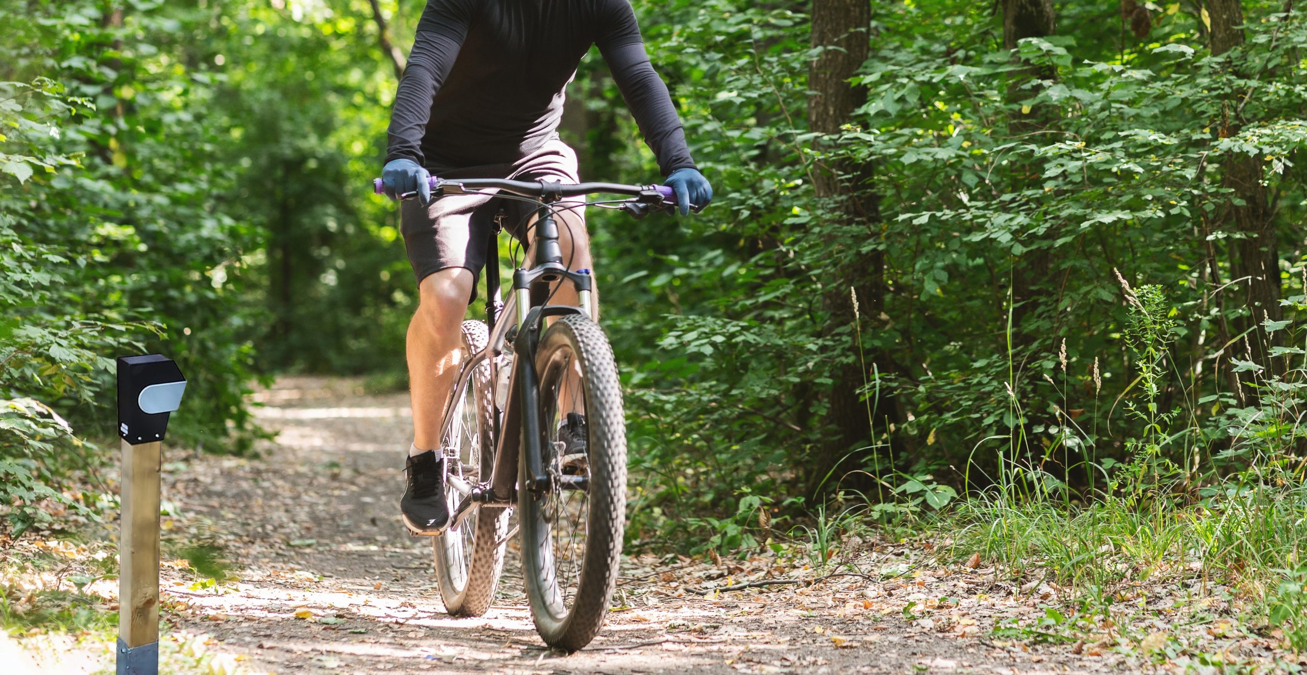 Mountainbiker Wald