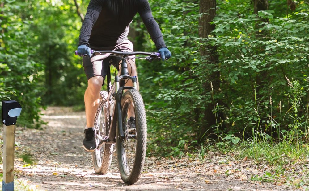 Mountainbiker Wald